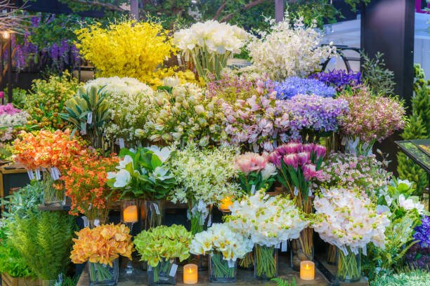 Stage Decorator/Flower Market
